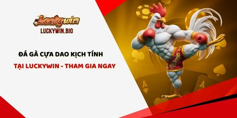 Đá Gà Cựa Dao Kịch Tính Tại Luckywin - Tham Gia Ngay