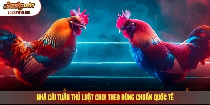 Nhà cái tuân thủ luật chơi theo đúng chuẩn quốc tế