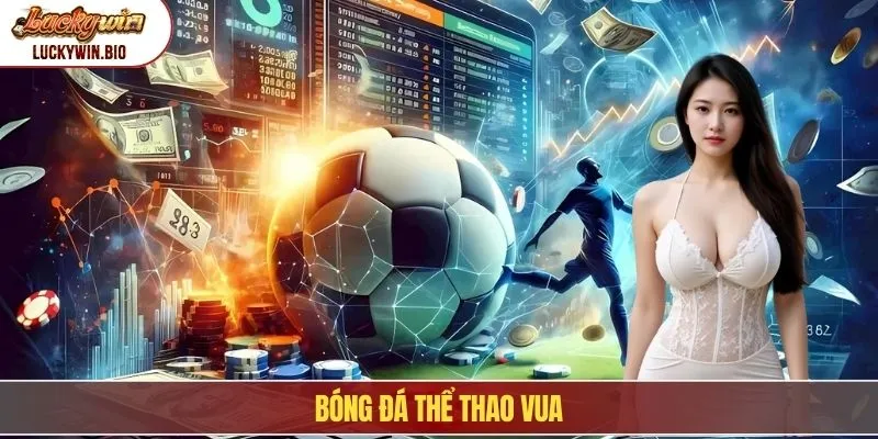 Bóng đá thể thao vua
