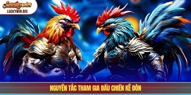 Nguyên tắc tham gia đấu chiến kê đòn